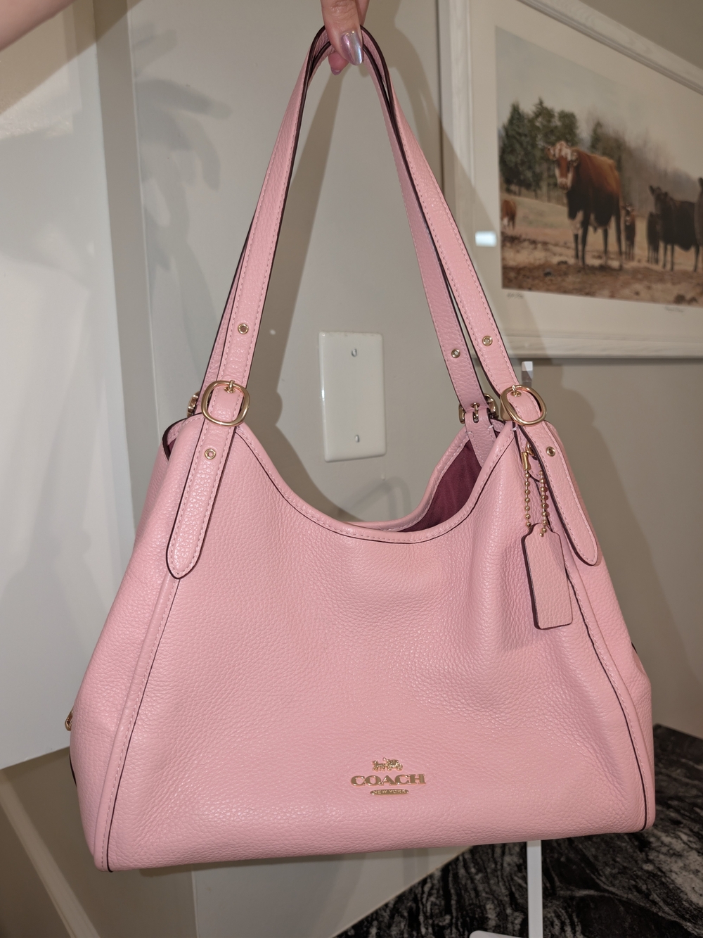 Coach Erin Shoulder Bag Powder Pink Pebbled Leather CAQ86